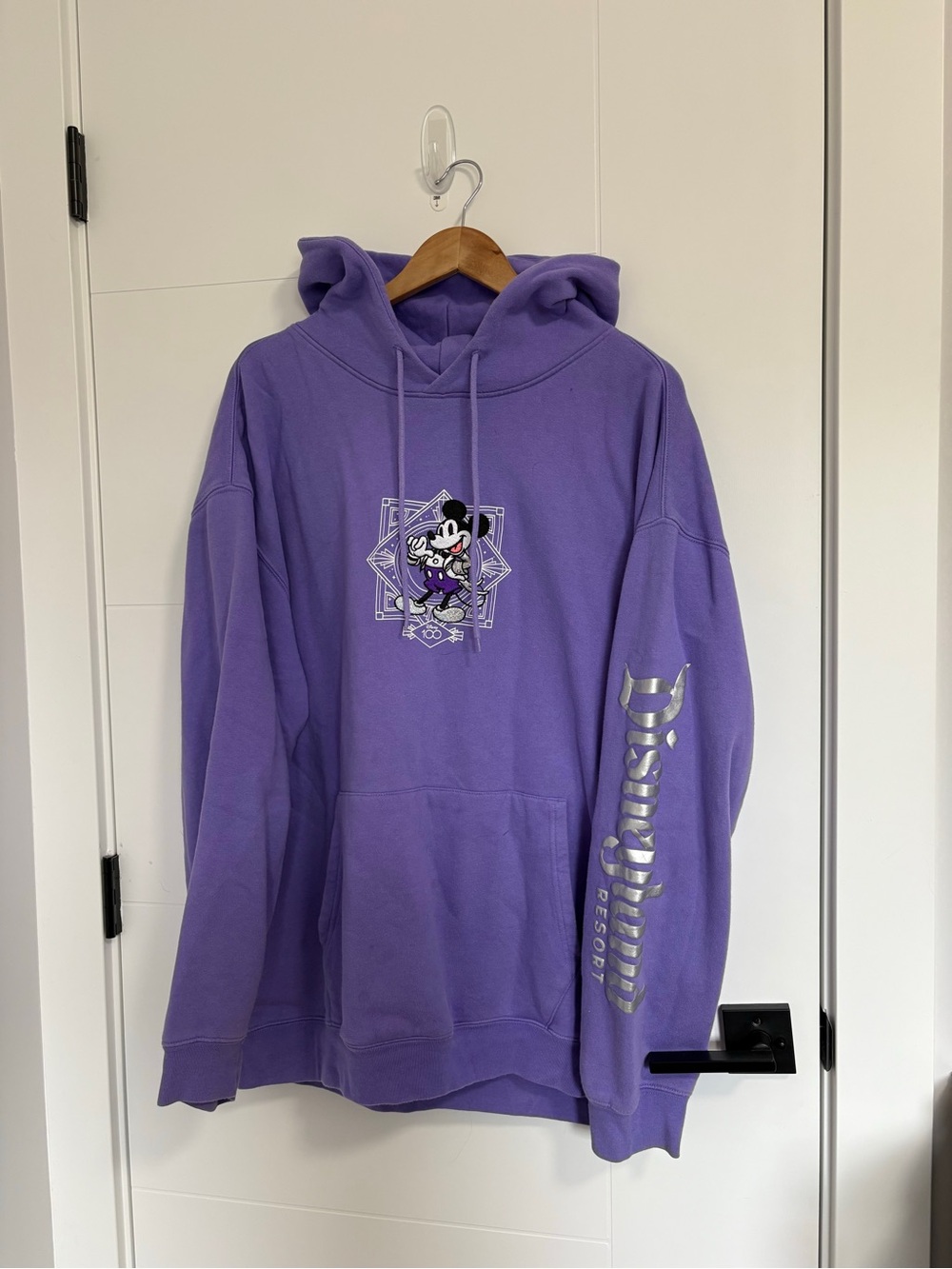 Viral Disneyland Purple Hoodie - Size XXL